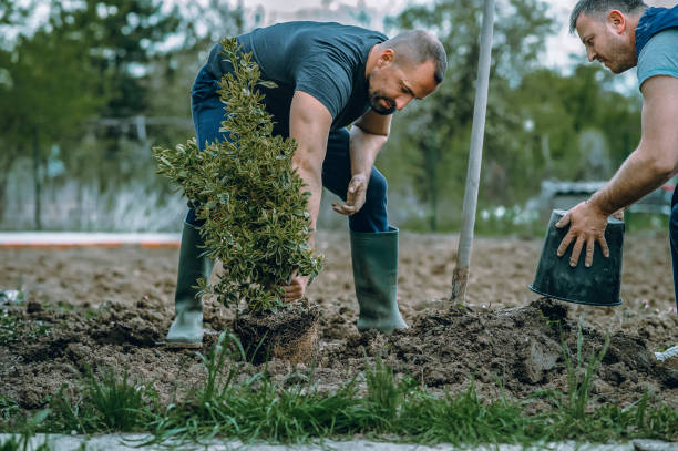 Best Lawn Pest Prevention  in West Berlin, NJ