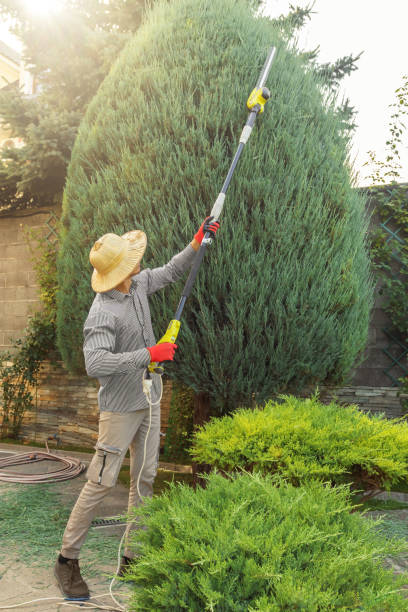 Best Hazardous Tree Removal  in West Berlin, NJ